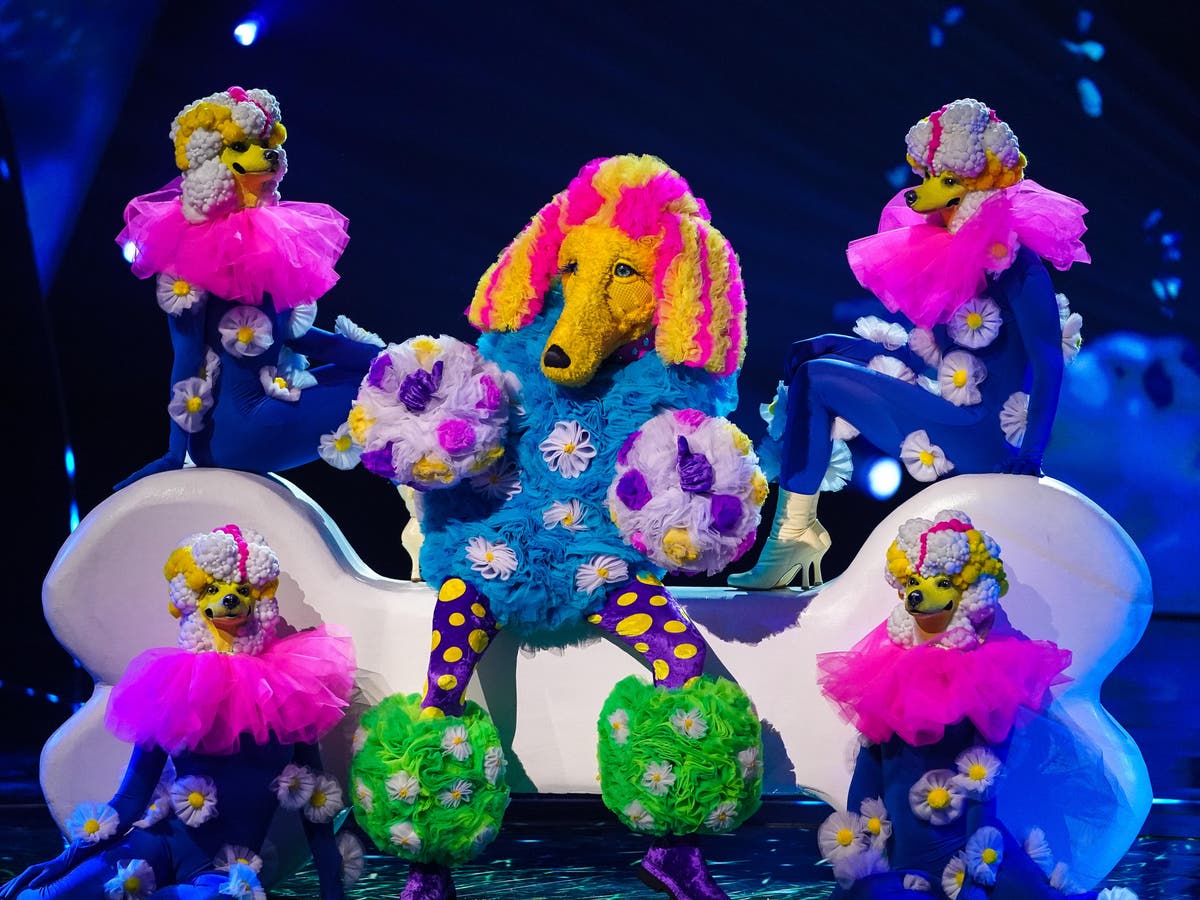 Tom Chaplin revealed as Poodle as he is eliminated from Masked Singer