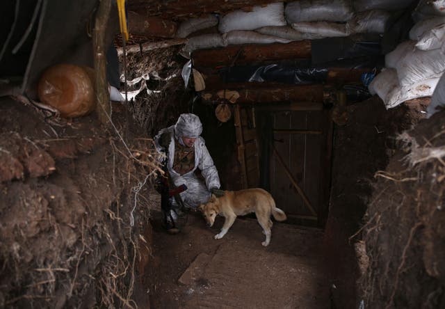 An Ukrainian Military Forces serviceman, caresses a dog in a dugout on the frontline with Russia-backed separatists near Gorlivka, Donetsk region