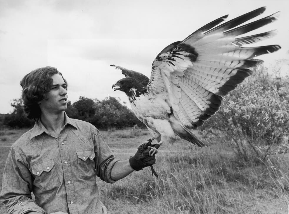 <p>Robert F Kennedy Jr, pictured in 1974 in Kenya, was long a prominent and respected environmentalist</磷>