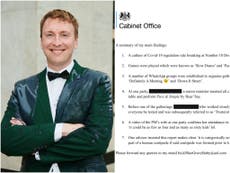 Joe Lycett releases his own Sue Gray report into Downing Street parties