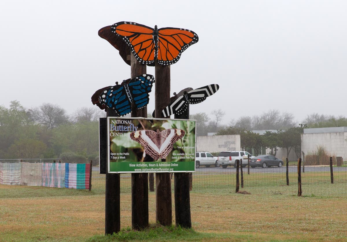 How QAnon forced the closure of a butterfly sanctuary in Texas