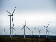 UK needs to shift to renewables to protect from energy crises, MPs and experts say