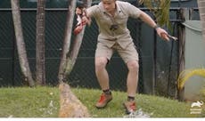 Steve Irwin’s teenage son flees crocodile enclosure while filming TV show