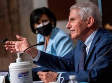 Fauci says US ‘out of pandemic phase’ as cases and hospitalisations fall