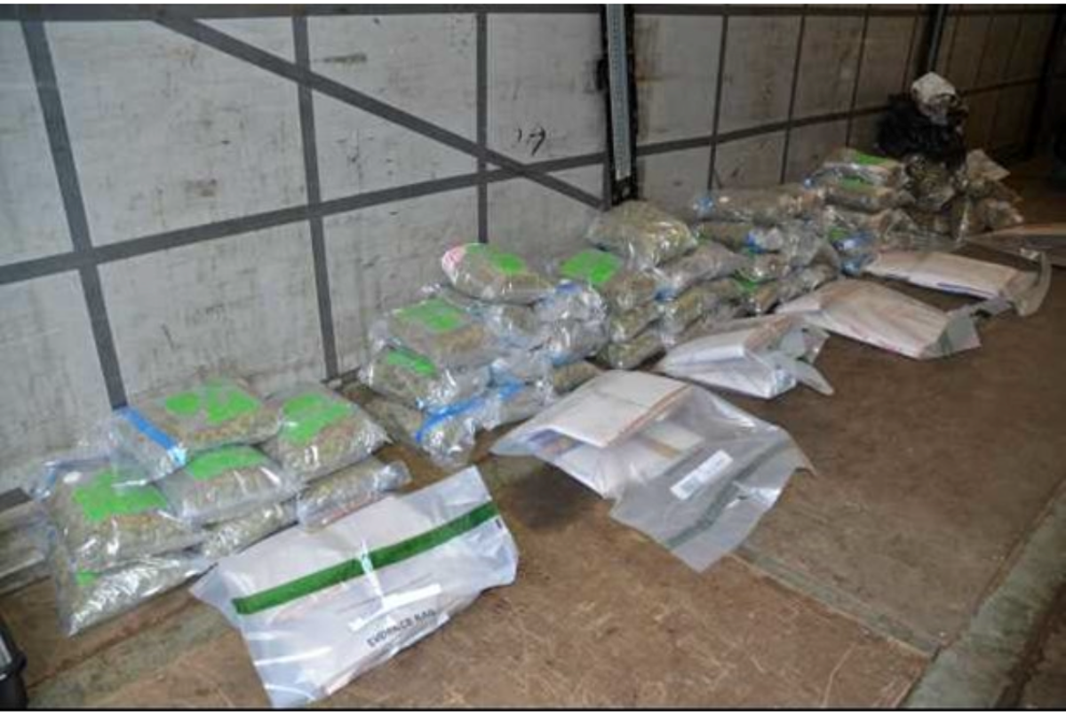 Two held as cocaine and cannabis worth £1.8m seized at Belfast Harbour