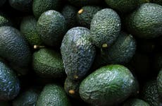 Mexican president sees conspiracy behind avocado ban