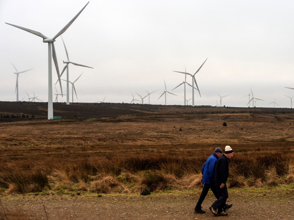 Renewable energy ‘on track’ to deliver most of UK electricity by 2050, minister says