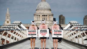 Activists from the People for the Ethical Treatment of Animals (PETA) protest against the use of feathers in clothing, ahead of London Fashion Week