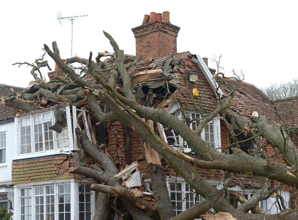 <p>Damaged caused to a home in Stondon Massey, near Brentwood, Essex, after a 400-year-old oak tree was uprooted by Storm Eunice</p>