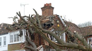 Damaged caused to home of Dominic Good, in Stondon Massey, near Brentwood, Essex, after a 400-year-old oak tree in his garden was uprooted by Storm Eunice.