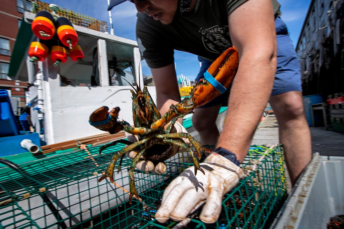 China accused of failing to buy more Maine lobster