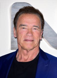 Arnold Schwarzenegger: I hope sanity will prevail in Ukraine conflict