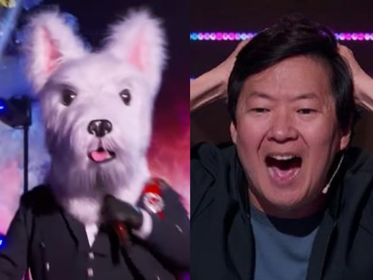 Masked Singer contestant has their head topple off in hilarious costume malfunction