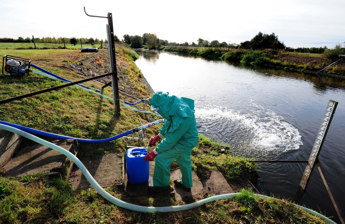 Local environmentalists ‘should sit on water firm boards to combat sewage dumps’