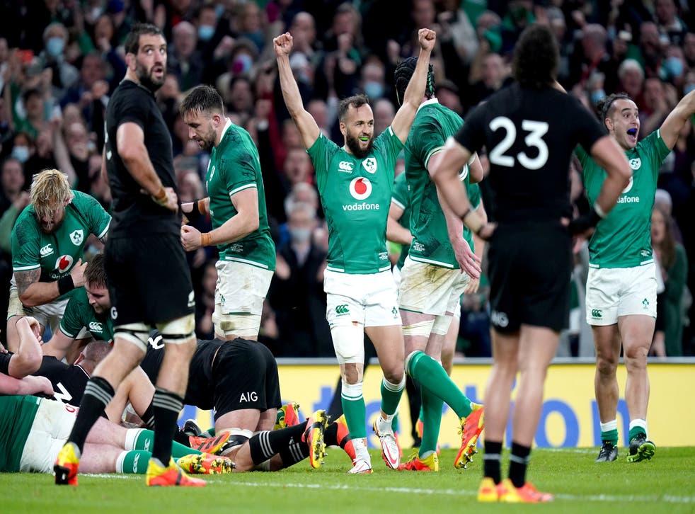 Ireland enjoyed a momentous win over New Zealand in November (Niall Carson / PA)