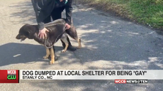 Owners abandoned dog because he was ‘gay’, shelter says