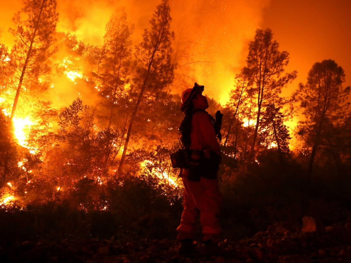 Wildfire threat grows as blazes become even larger and more widespread