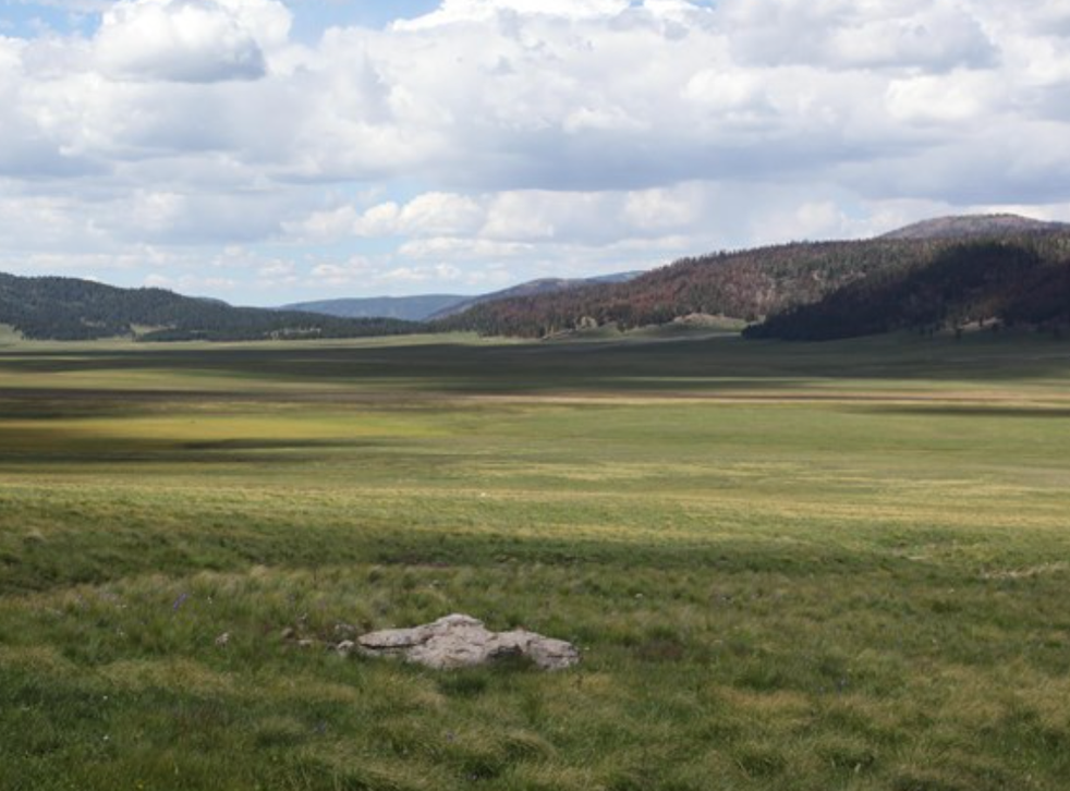 <p>The Valles Caldera National Preserve in New Mexico</磷>