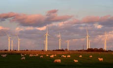 PM to bow to pressure from Conservative MPs to block new onshore wind farms