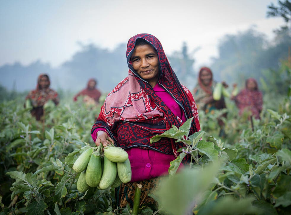 <p>Aubergines are a staple in the community of Ukhiya in Cox’s Bazar</p>