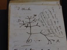 ‘Stolen’ Darwin manuscripts anonymously returned to university library