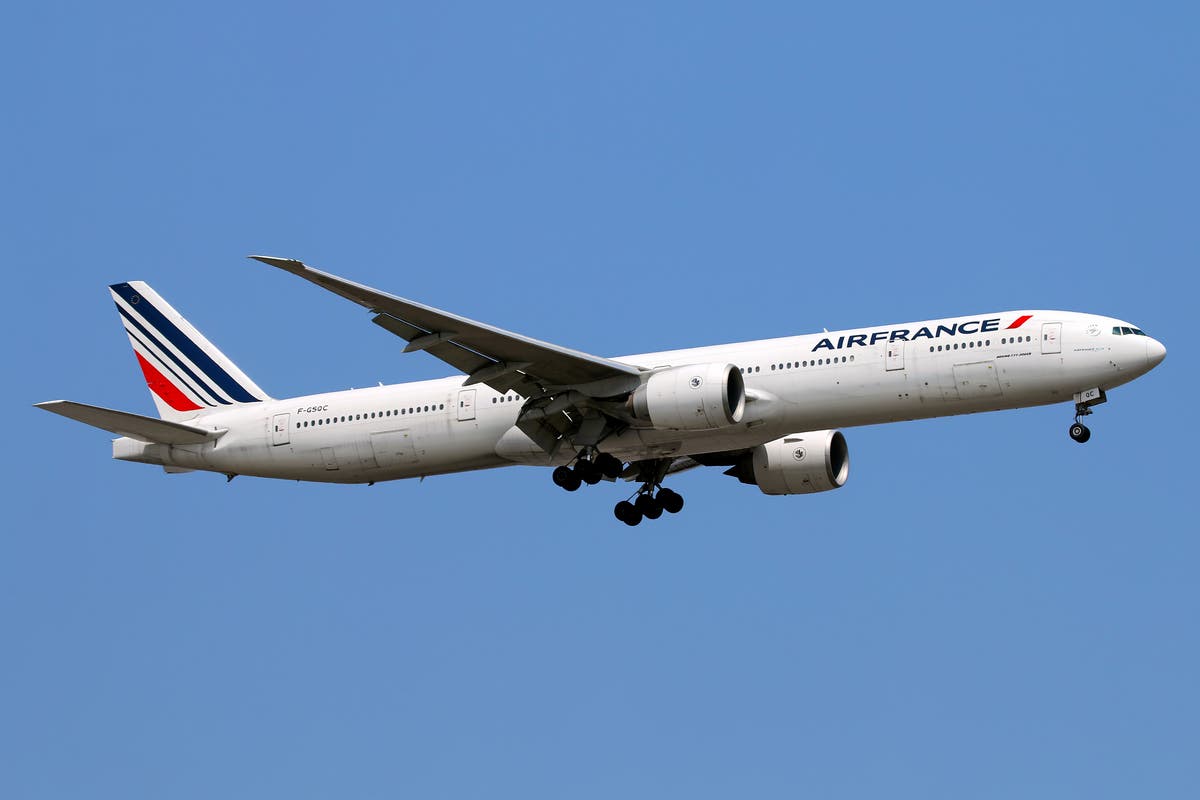 Air France pilots abort landing in Paris as plane becomes ‘unresponsive’