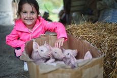 Children think meat eating is less morally acceptable than adults