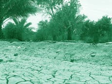 What is soil degradation and why is it important?
