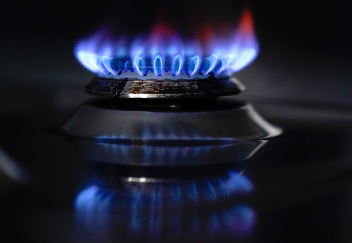 Millions face fuel poverty, energy bosses warn