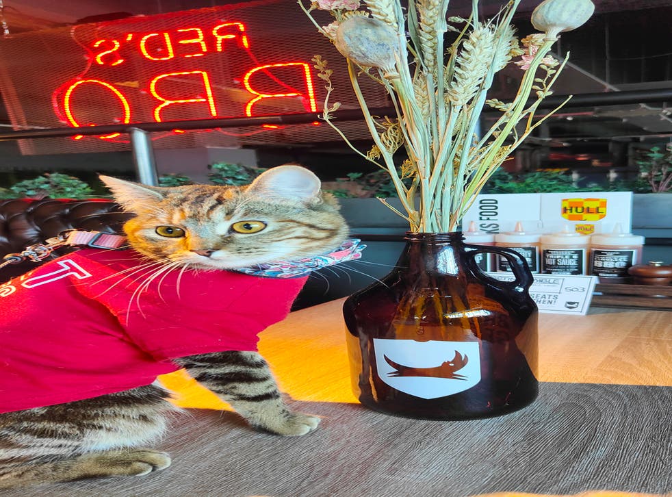 Mike and MewPaul have enjoyed a few BrewDogs together (Collect/PA Real Life)