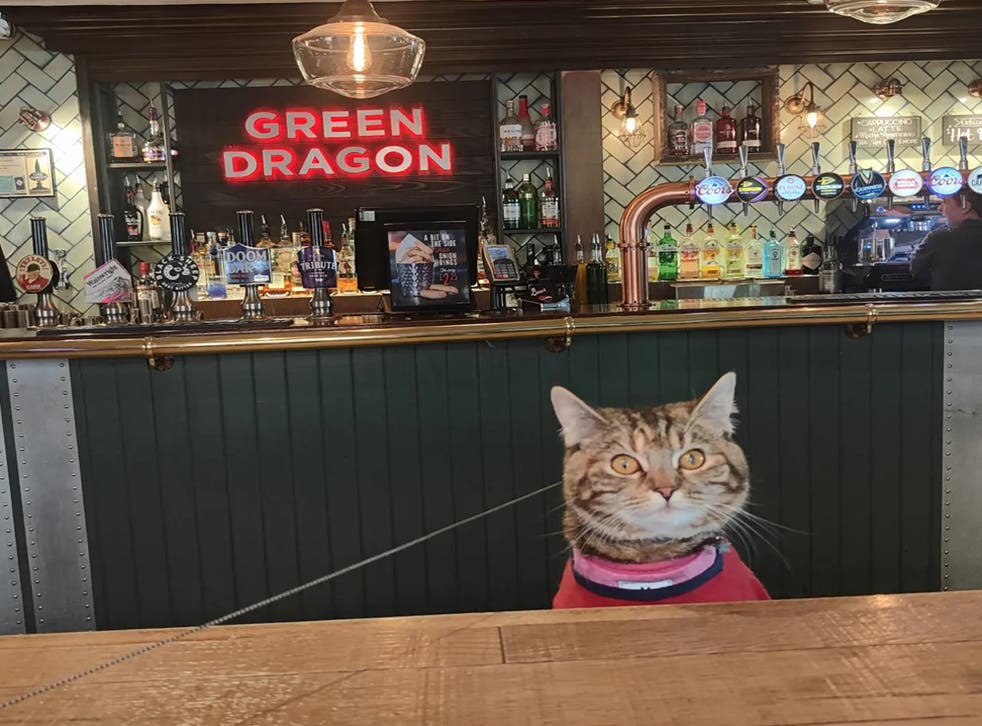 Waiting for table service in the Green Dragon (Collect/PA Real Life)
