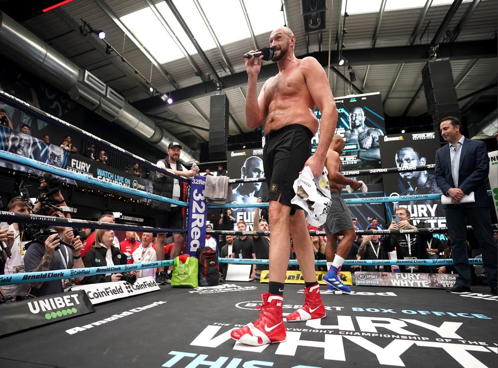 Lewis would have relished a showdown with Fury, sur la photo, in their primes (Nick Potts/PA)