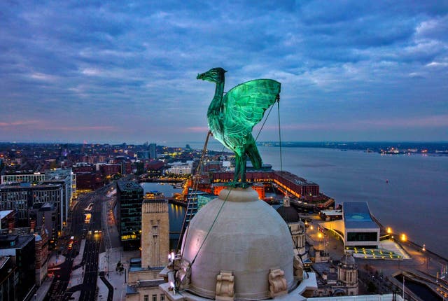 One of the Liverbirds that sits atop of the Royal Liver Building in Liverpool, is illuminated just before the sun rises over the city
