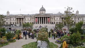 Trafalgar Square in central London is covered in plants and flowers at the launch of an initiative to rewild and protect 2 million hectares of land. The temporary installation, which is made up of over 6000 plants, flowers, and trees, aims to raise awareness of the importance of biodiversity in urban spaces, with visitors to the site invited to pick up and rehome one of the plants