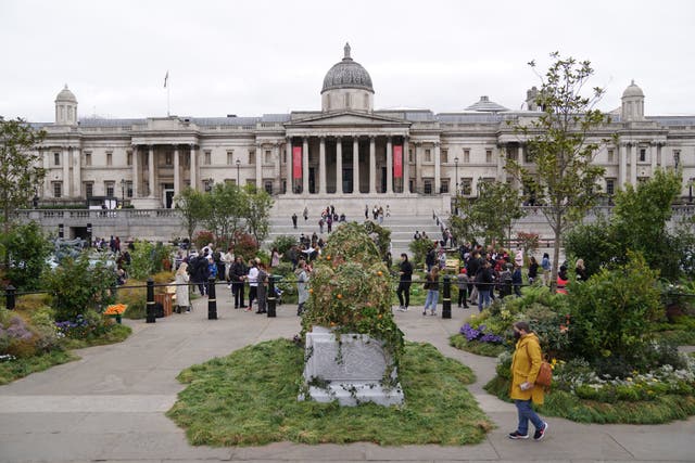 Trafalgar Square in central London is covered in plants and flowers at the launch of an initiative to rewild and protect 2 million hectares of land. The temporary installation, which is made up of over 6000 植物, 花卉, and trees, aims to raise awareness of the importance of biodiversity in urban spaces, with visitors to the site invited to pick up and rehome one of the plants