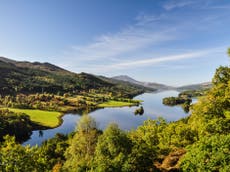 Rapidly warming Scottish lochs could become toxic risk to swimmers, pets and wildlife