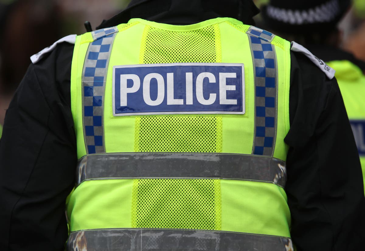 Police force’s response to domestic abuse ‘of particular concern’