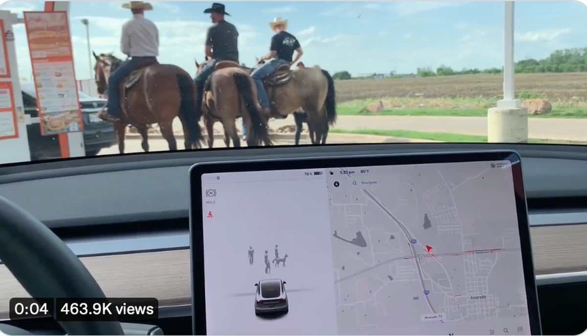 Elon Musk defends Tesla’s inability to recognise horses at a Texas burger drive-thru
