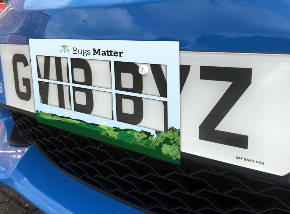 The ‘splatometer’ used in the survey on a number plate (Buglife/PA)