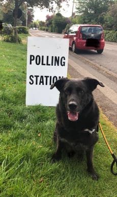 #DogsatPollingStations: Owners exercise their pets and democratic rights