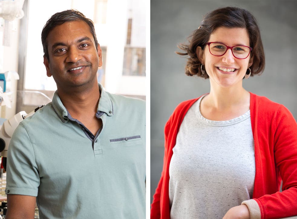 <p>Lead authors of the study Sreekanth Chalasani and Molly Matty </p>