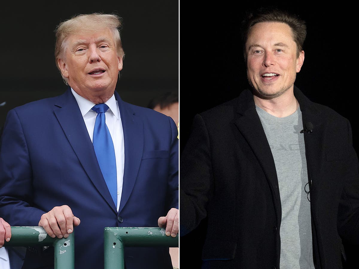  Elon Musk says he’ll end Donald Trump’s Twitter ban