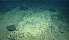 Scientists discover ‘Yellow Brick Road’ to ‘Atlantis’ in depth of Pacific