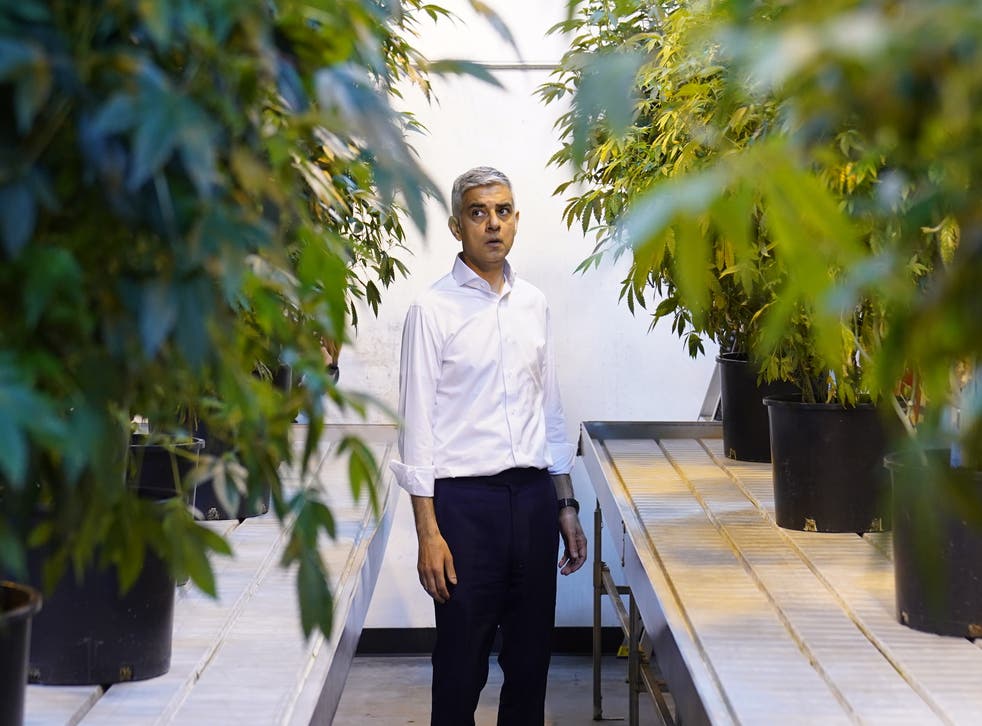 ‘… Hearing from those who cultivate and grow this plant has been fascinating’, Sadiq Khan said in California (Stefan Rousseau/PA)