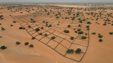 World ‘at crossroads’ as droughts surge 29% siden 2000, UN warns