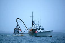 US fishing haul fell 10% during first pandemic year