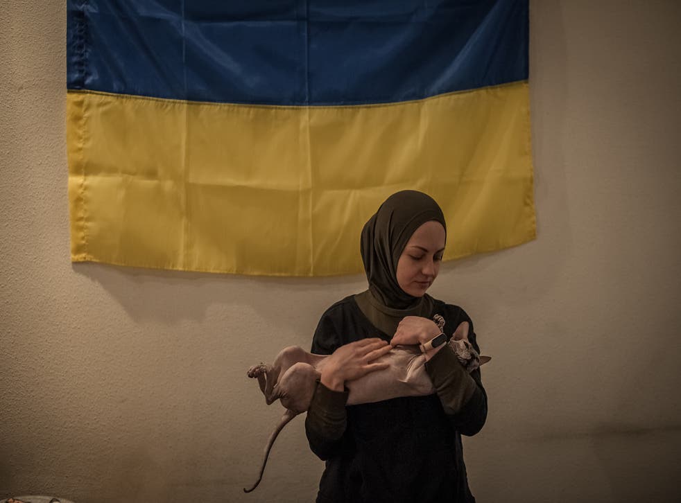 <p>Viktoria with her cat in a volunteer centre where she and other volunteers help locals with food and the army with medical equipment</p>