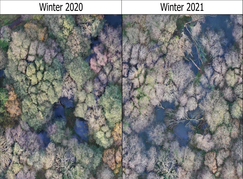 Aerial view of the changes in the habitat at the Holnicote estate between winter 2020 og 2021 (National Trust/PA)