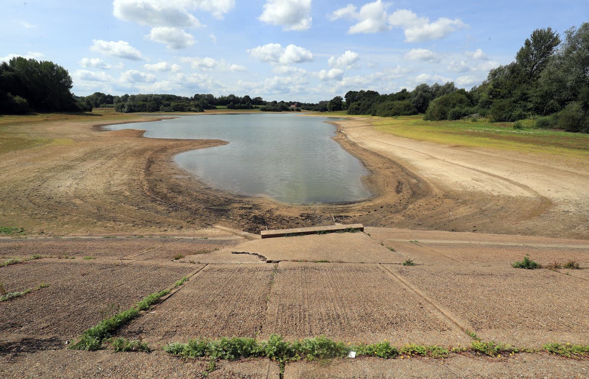 Report warns London and other world cities face rising risk of drought