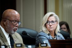 Liz Cheney says Jan 6 was ‘extremely well-organised’ conspiracy and Trump has expressed no remorse